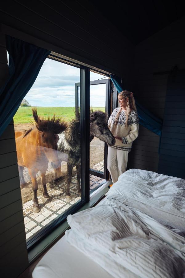 Sleeping With The Horses Apartment Hvolsvollur Ngoại thất bức ảnh