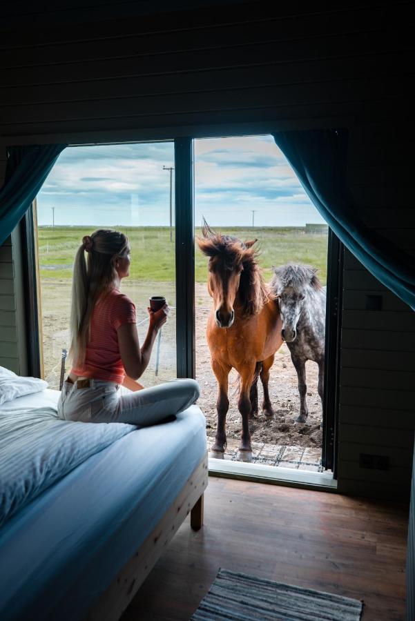 Sleeping With The Horses Apartment Hvolsvollur Ngoại thất bức ảnh