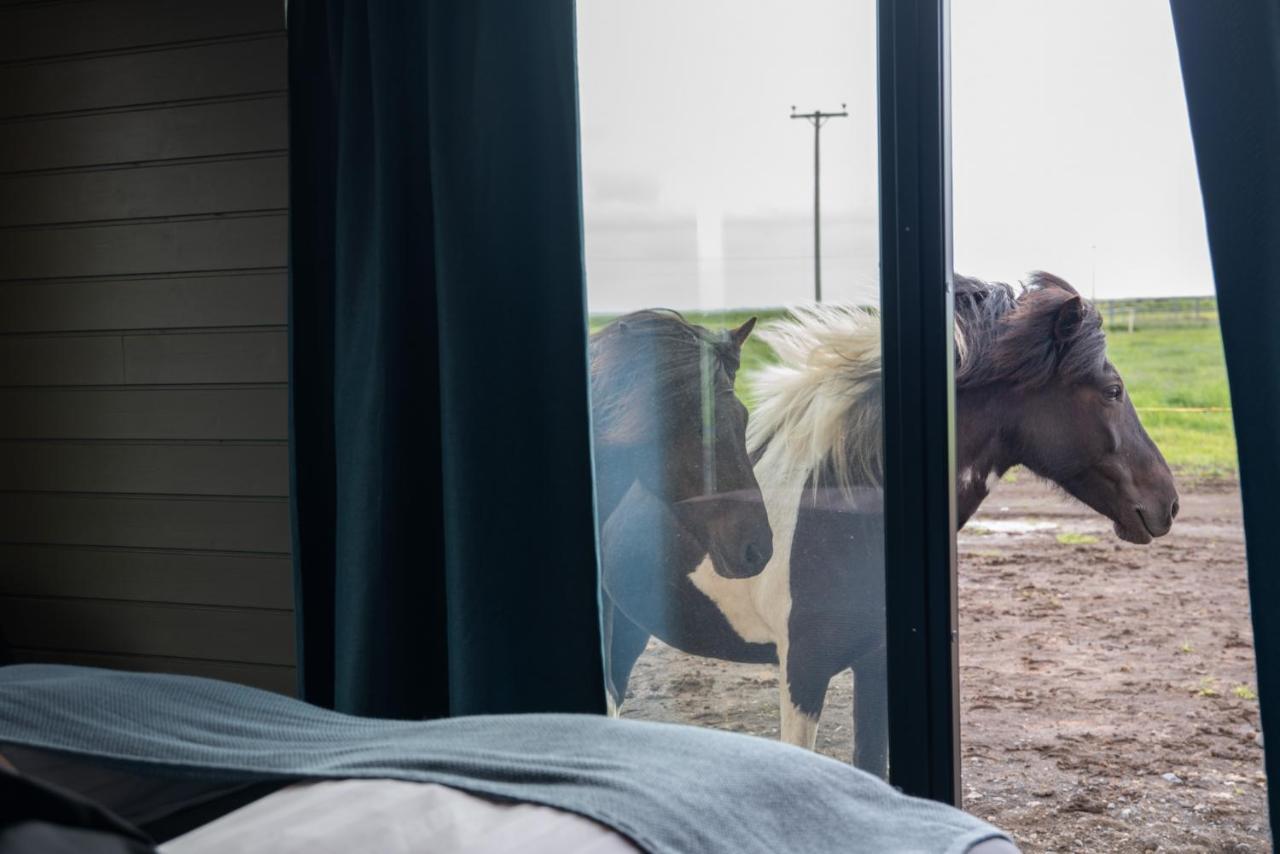 Sleeping With The Horses Apartment Hvolsvollur Ngoại thất bức ảnh